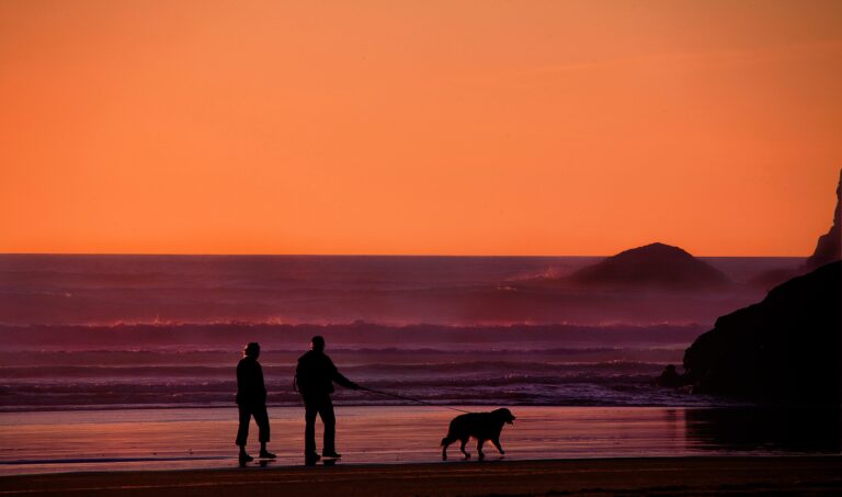 couple, beach sunset